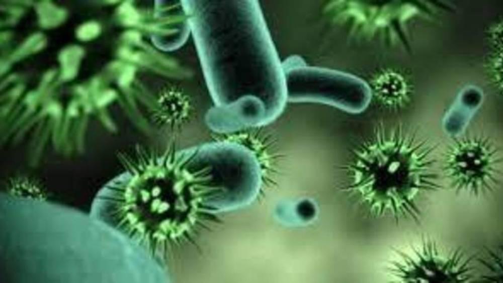 التفاصيل الكاملة عن فيروس «ماربورغ» الجديد
